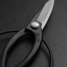 Black Musashi Ueki Pruning Shears / Garden Scissors Round Blue Steel #2 Forged Handmade 200mm (7.9”)-[Musashi]-[Japanese-Kitchen-Knives]