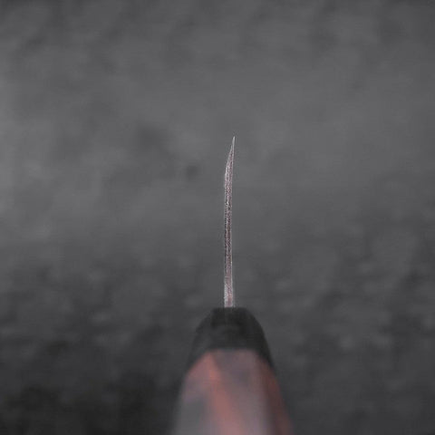 Deba Blue Steel #2 Kurouchi Buffalo Ebony Handle 270mm - Thin (10.6”)-[Musashi]-[Japanese-Kitchen-Knives]