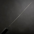 Gyuto Blue Steel #2 Kurouchi Chokin Dragon Buffalo Ebony Handle 210mm-[Musashi]-[Japanese-Kitchen-Knives]