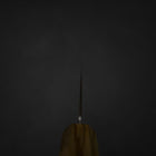 Gyuto Blue Steel #2 Polished Stainless Clad Olive Handle 210mm-[Musashi]-[Japanese-Kitchen-Knives]