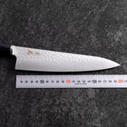 Gyuto VG-10 Tsuchime Oval Purple Handle 200mm (7.9”)-[Musashi]-[Japanese-Kitchen-Knives]