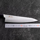 Gyuto VG-10 Tsuchime Oval Purple Handle 200mm-[Musashi]-[Japanese-Kitchen-Knives]