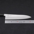 Gyuto ZDP-189 Polished Buffalo Chestnuts Handle 210mm (8.3”)-[Musashi]-[Japanese-Kitchen-Knives]
