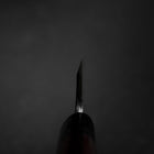 Honesuki White Steel #2 Kasumi Shitan Handle 180mm-[Musashi]-[Japanese-Kitchen-Knives]