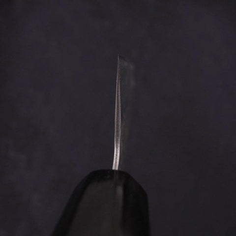 Kiritsuke AUS-10 Tsuchime Damascus Buffalo Magnolia Handle 210mm (8.3”)-[Musashi]-[Japanese-Kitchen-Knives]