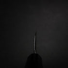 Kiritsuke Deba Silver Steel #3 Mirror Buffalo Ebony Handle 180mm-[Musashi]-[Japanese-Kitchen-Knives]