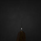 Kiritsuke Gyuto Blue Steel #2 Polished Olive Handle 210mm-[Musashi]-[Japanese-Kitchen-Knives]