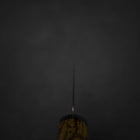 Kiritsuke Gyuto SG-2 Damascus Western Golden Ebony Handle 210mm-[Musashi]-[Japanese-Kitchen-Knives]