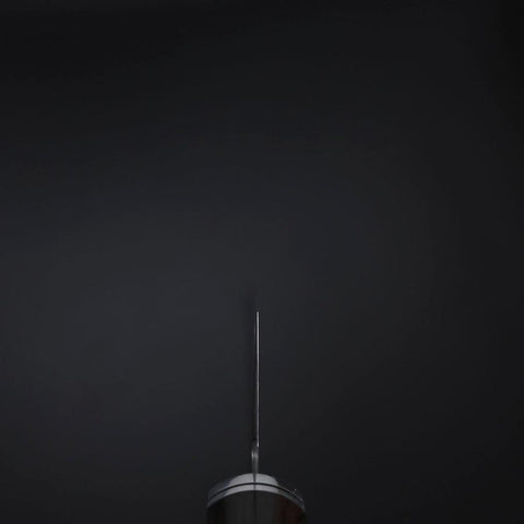 Kiritsuke SG-2 Black Nickel Damascus Western Ebony Handle 210mm-[Musashi]-[Japanese-Kitchen-Knives]