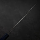 Kiritsuke VG-10 Damascus Blue Birch Handle 210mm-[Musashi]-[Japanese-Kitchen-Knives]