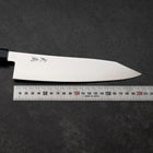 Kiritsuke VG-10 Damascus Blue Birch Handle 210mm-[Musashi]-[Japanese-Kitchen-Knives]