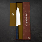 Kiritsuke VG-10 Damascus Blue Birch Handle 210mm-[Musashi]-[Japanese-Kitchen-Knives]