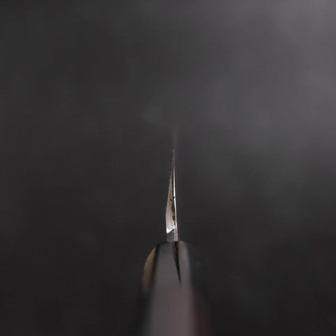 Kiritsuke VG-10 Mirror Buffalo Ebony Handle 270mm-[Musashi]-[Japanese-Kitchen-Knives]