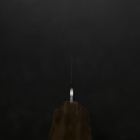 Kiritsuke VG-10 Polished Ovangkol Handle 210mm-[Musashi]-[Japanese-Kitchen-Knives]