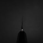 Kiritsuke Yanagiba Silver Steel #3 Kasumi Buffalo Ebony Handle 300mm-[Musashi]-[Japanese-Kitchen-Knives]