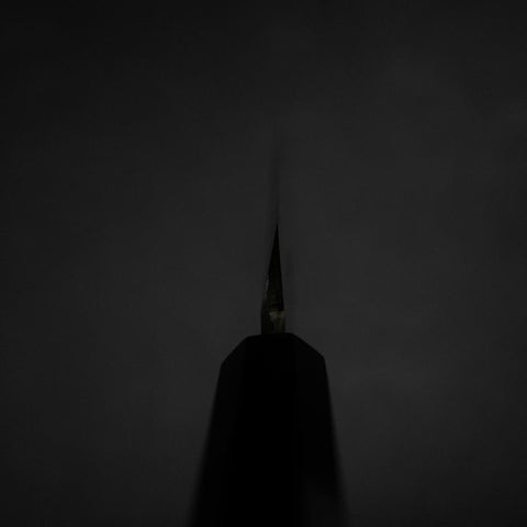 Kiritsuke Yanagiba Silver Steel #3 Kasumi Buffalo Ebony Handle 300mm (Sori)-[Musashi]-[Japanese-Kitchen-Knives]