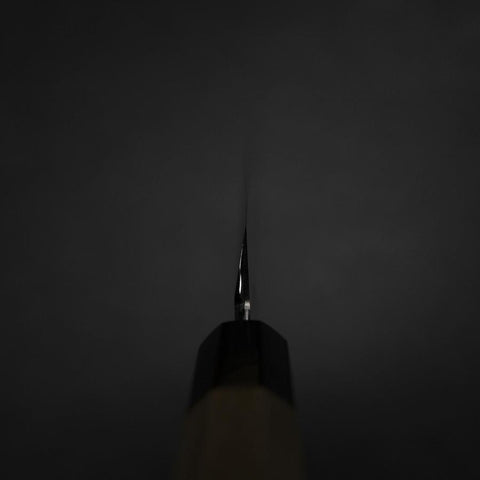 Kiritsuke Yanagiba Silver Steel #3 Kasumi Buffalo Magnolia Handle 270mm-[Musashi]-[Japanese-Kitchen-Knives]