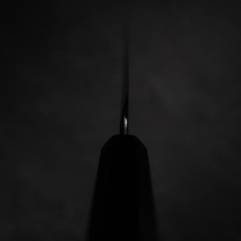 Sakimaru Takohiki Blue Steel #2 Kasumi Buffalo Ebony Handle 300mm-[Musashi]-[Japanese-Kitchen-Knives]