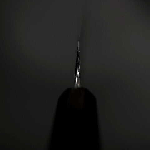 Sakimaru Takohiki Blue Steel #2 Kasumi Buffalo Ebony Handle 320mm-[Musashi]-[Japanese-Kitchen-Knives]