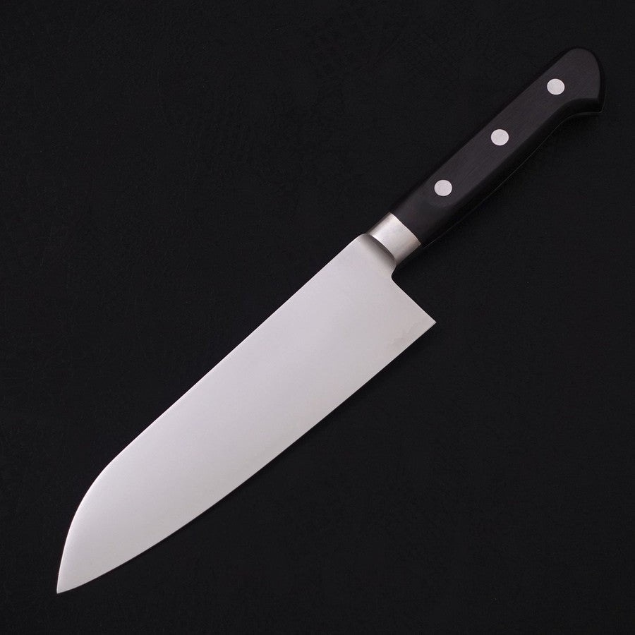 三徳 HAP-40粉末ハイス 磨き 洋風柄 170mm – MUSASHI