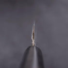 Yanagiba Blue Steel #2 Damascus Shitan Handle 240mm (9.4”)-[Musashi]-[Japanese-Kitchen-Knives]