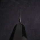 Yanagiba Blue Steel #2 Kasumi Buffalo Ebony Handle 300mm (11.8”)-[Musashi]-[Japanese-Kitchen-Knives]