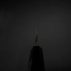 Yanagiba Blue Steel #2 Kurouchi Buffalo Ebony Handle 210mm-[Musashi]-[Japanese-Kitchen-Knives]