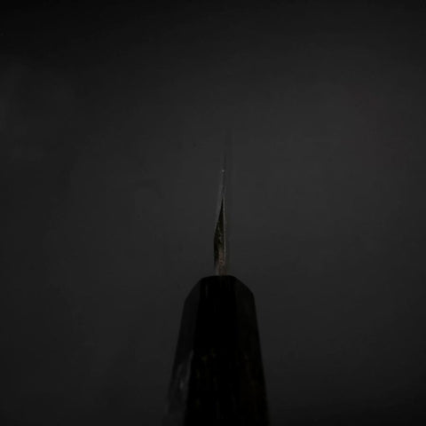 Yanagiba Blue Steel #2 Kurouchi Buffalo Ebony Handle 210mm-[Musashi]-[Japanese-Kitchen-Knives]