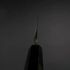 Yanagiba Blue Steel #2 Kurouchi Buffalo Ebony Handle 240mm-[Musashi]-[Japanese-Kitchen-Knives]