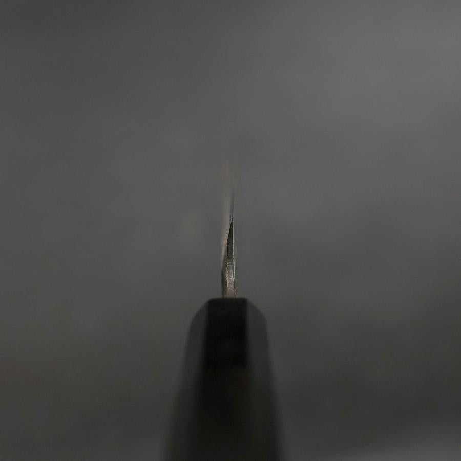 柳刃 片刃 青紙2号 黒打 桜 富士 黒檀水牛柄 210mm – MUSASHI