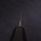 Yanagiba Blue Steel #2 Kurouchi Chokin Sakura-Fuji Silver Buffalo Ebony Handle 240mm-[Musashi]-[Japanese-Kitchen-Knives]