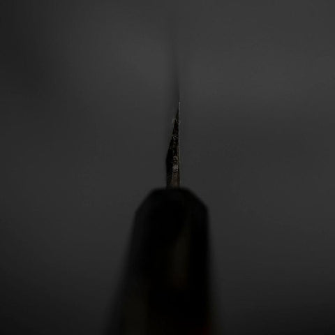 Yanagiba Blue Steel #2 Kurouchi Tsuchime Buffalo Ebony Handle 230mm-[Musashi]-[Japanese-Kitchen-Knives]