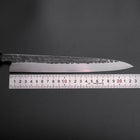 Yanagiba Blue Steel #2 Kurouchi Tsuchime Buffalo Ebony Handle 230mm-[Musashi]-[Japanese-Kitchen-Knives]