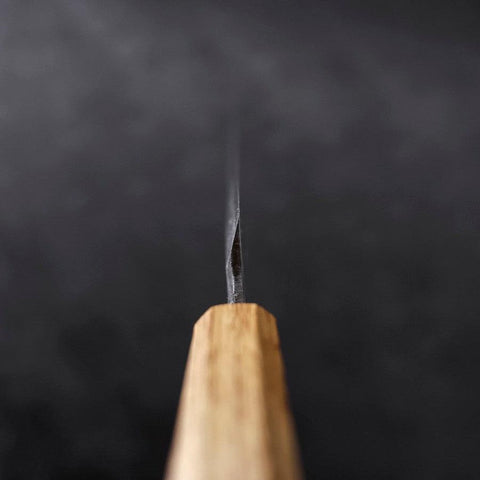 Yanagiba Blue Steel #2 Kurouchi Tsuchime Yaki Urushi Handle 240mm (9.4”)-[Musashi]-[Japanese-Kitchen-Knives]