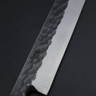 Yanagiba Blue Steel #2 Tsuchime Kurouchi Buffalo Ebony Handle 260mm-[Musashi]-[Japanese-Kitchen-Knives]