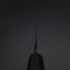 Yanagiba Blue Steel #2 Tsuchime Kurouchi Buffalo Ebony Handle 260mm-[Musashi]-[Japanese-Kitchen-Knives]