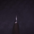 Yanagiba White Steel #1 Ebony Handle 300mm (11.8”)-[Musashi]-[Japanese-Kitchen-Knives]
