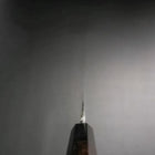 Yanagiba White Steel #2 Kasumi Silver Dragon Buffalo Ebony Handle 240mm-[Musashi]-[Japanese-Kitchen-Knives]