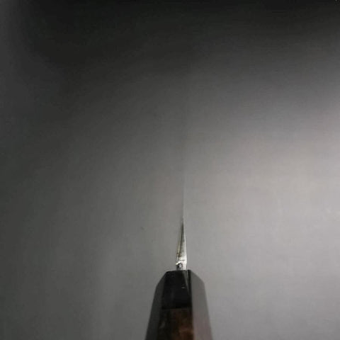 Yanagiba White Steel #2 Kasumi Silver Dragon Buffalo Ebony Handle 240mm-[Musashi]-[Japanese-Kitchen-Knives]